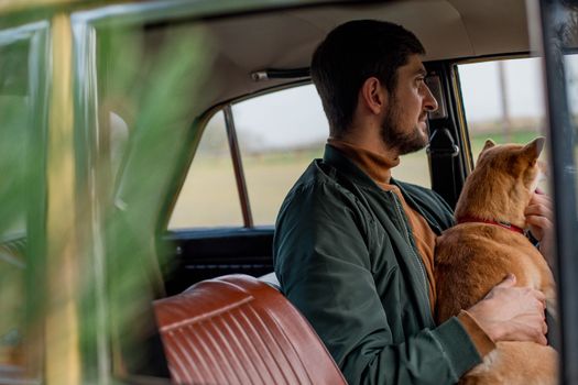 rompere vetro per cane