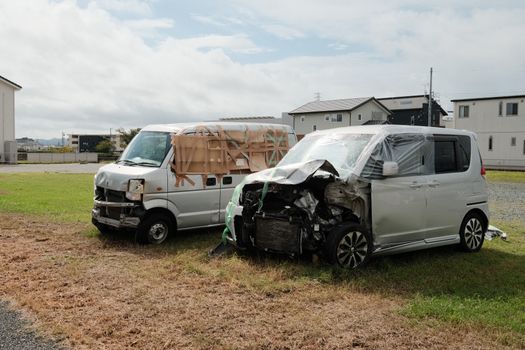 risarcimento incidente con animali