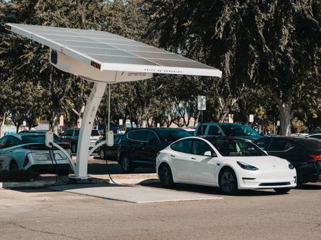 scarso interesse auto elettrica